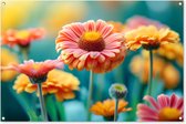 Tuinposter bloemen - Tuindecoratie gerbera - 120x80 cm - Tuindoek kleurrijk - Muurdecoratie voor buiten - Schuttingposter - Tuinschilderijen - Tuinwanddecoratie - Tuinversiering - Tuinposters