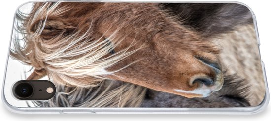Coque iPhone XR - Paarden - Nature - Macro - Coque de téléphone en Siliconen