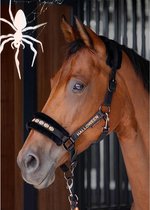 Harry's Horse Ensemble Licol Halloween Zwart - poney