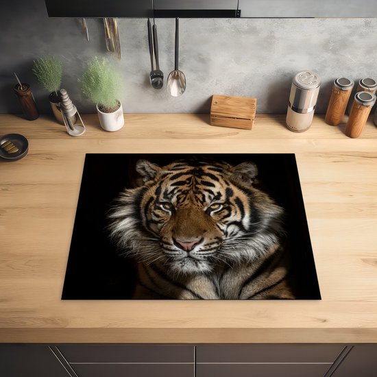 Inductie beschermer 76x51,5 cm kopen? – Pagina 15