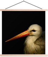 Porte-affiche avec affiche - Affiche scolaire - Vogel - Bec - Ressorts - 60x60 cm - lattes vierges