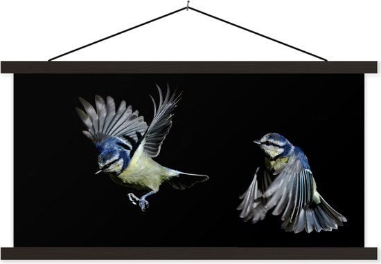 Porte-affiche avec affiche - Affiche scolaire - Vogels - Ressorts - Zwart - 120x60 cm - Lattes noires