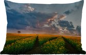 Buitenkussens - Tuin - Gele bloemen bij zonsondergang - 50x30 cm