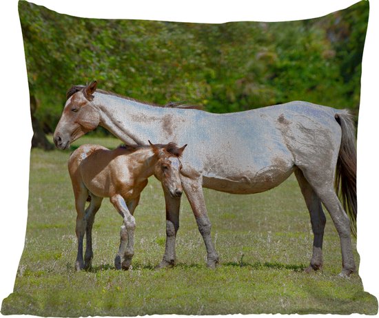 Sierkussen Buiten - Paarden - Gras - Schaduw - 60x60 cm - Weerbestendig