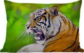 Buitenkussens - Tuin - Brullende tijger tegen een vervaagde achtergrond - 50x30 cm
