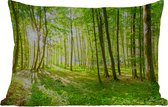 Buitenkussens - Natuur - Bomen - Bos - Groen - Zonlicht - 60x40 cm - Weerbestendig