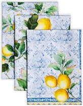 Set van 3 multifunctionele keukenhanddoeken, 100% katoen, bardoeken, citrus lente/zomer (50 cm x 70 cm)