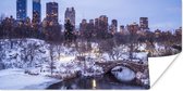 Poster New York - Central Park - Winter - 120x60 cm