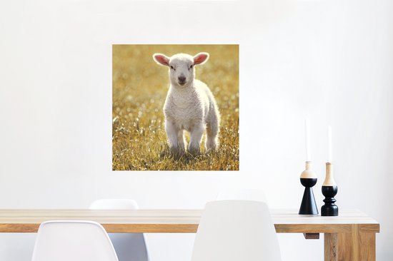 Affiche Agneau - Herbe - Soleil - 50x50 cm
