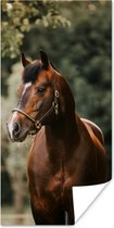 Poster Paard - Takken - Portret - 40x80 cm