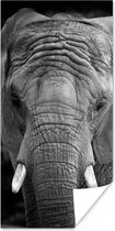 Poster Portret van een olifant in zwart-wit - 60x120 cm
