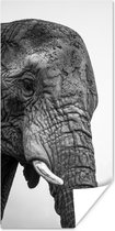 Poster Nieuwsgierige olifanten in zwart-wit - 40x80 cm