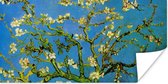 Poster Amandelbloesem - Vincent van Gogh - 120x60 cm