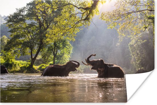 Affiche - Jouer aux éléphants - 30x20 cm