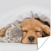 Poster huisdieren - hond - Kat - Deken - 100x100 cm XXL