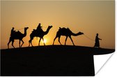 Poster Silhouet van kamelen in India - 30x20 cm