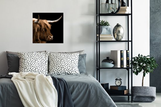 Affiche Highlander écossais - Animaux - Vache - 50x50 cm