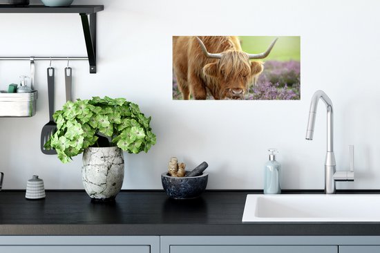 Affiche Scottish Highlander - Violet - Fleurs - 40x20 cm