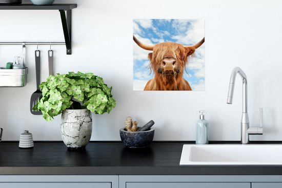 Affiche Highlander écossais - Nuage - Animaux - 30x30 cm