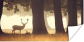 Affiche Cerf - Arbres - Forêt - 160x80 cm