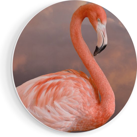 Artaza Forex Muurcirkel Roze Flamingo in de Wolken - 50x50 cm - Klein - Wandcirkel - Rond Schilderij - Muurdecoratie Cirkel