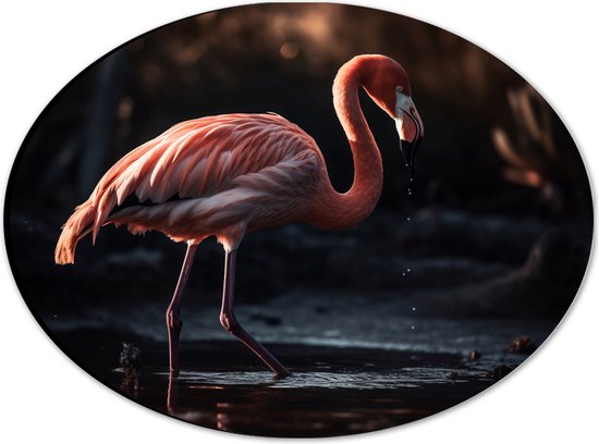 Dibond Ovaal - Flamingo - Water - Kleuren - 28x21 cm Foto op Ovaal (Met Ophangsysteem)