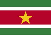 CHPN - Vlag - Vlag van Suriname - Surinaamse vlag -Surinaamse Gemeenschap Vlag - 90/150CM - Republic of Suriname - Suriname - Zuid Amerika - Paramaribo