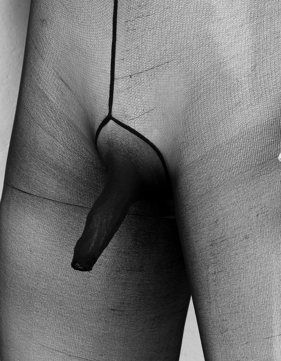 Combinaison homme entièrement transparente - Tronc pénis ouvert - Taille unique - Élastique body homme - Collants - Bas - Vêtements BDSM - Jeu de rôle