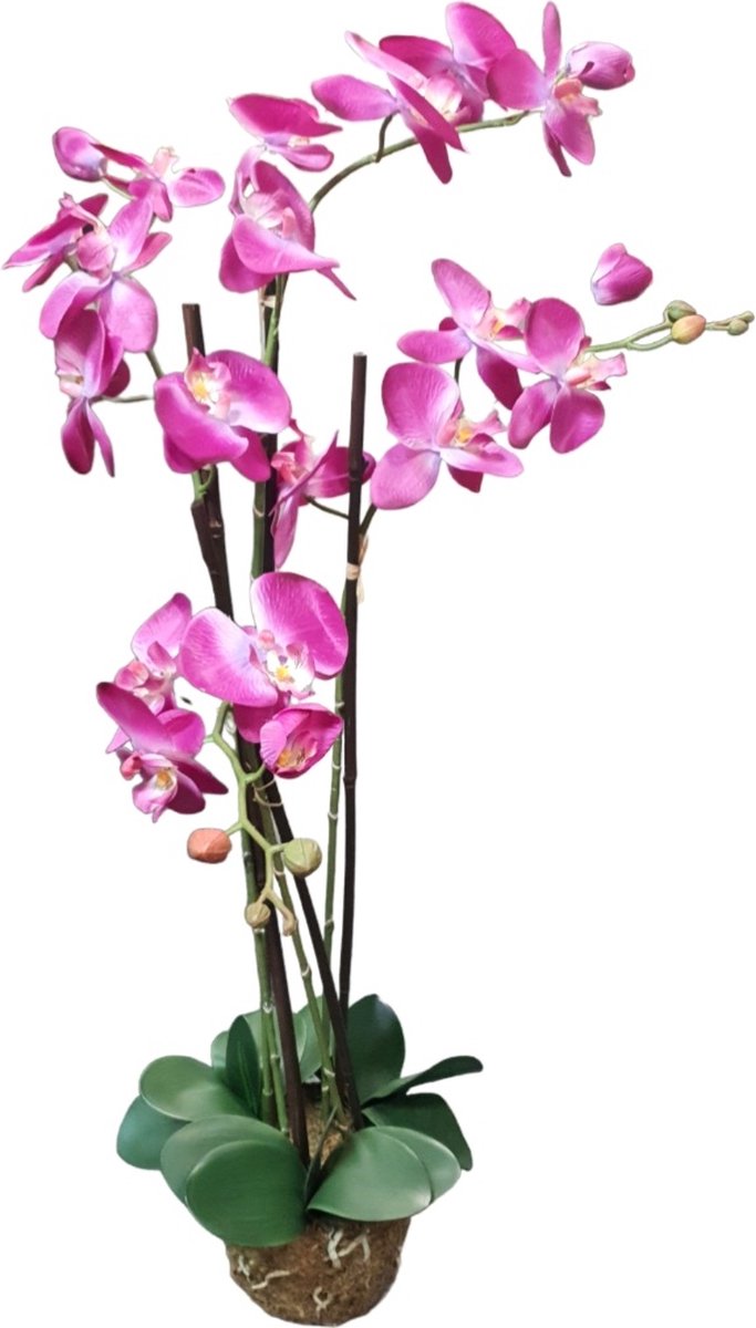 Mica Decorations Kunstplant Phalaenopsis paars L67xB30xH102cm