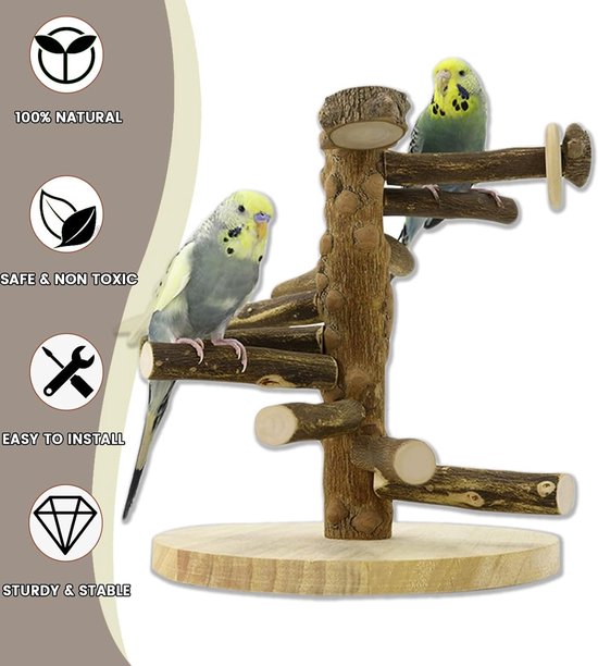 Papegaai Speeltuin Vogel Houten Speelgoed Baars Standaard met Ladder