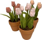 DIY tulpen - Maak je eigen tulpen van vilt - Set van 3 potjes met tulpen - Kleur set - Abrikoos/Antiek Roze/Zacht Roze
