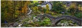 Acrylglas - Bomen - Huizen - Brug - Water - Waterval - Planten - Landschap - 120x40 cm Foto op Acrylglas (Met Ophangsysteem)