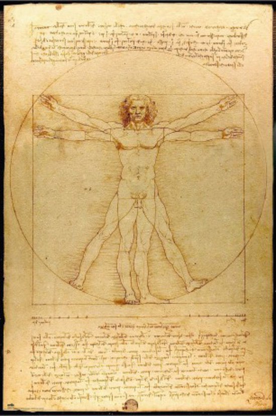 Vitruviaanse Man van Leonardo da Vinci, een naakte man binnen een cirkel en vierkant, met Latijnse tekst.
