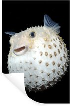 Stickers muraux - Film autocollant - Poisson - Animaux marins - Animaux aquatiques - 20x30 cm - Film adhésif - Stickers muraux chambre enfant - Papier peint autocollant - Papier peint autocollant - Film autocollant