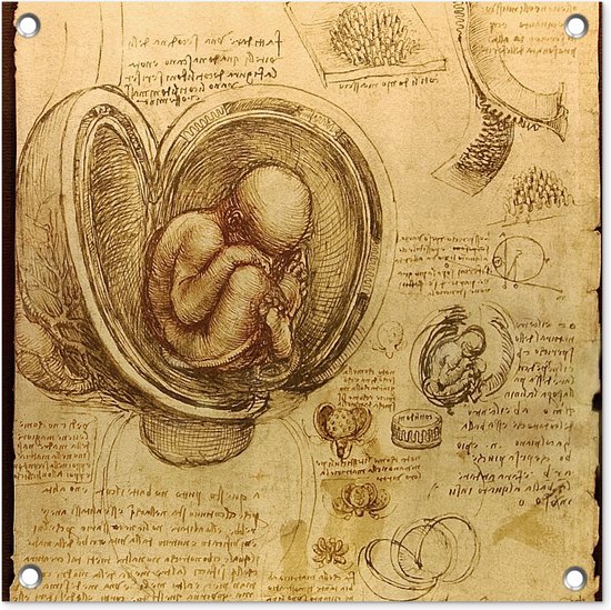 Tuinposters Baby in the womb - Leonardo da Vinci - 50x50 cm - Tuindoek - Buitenposter