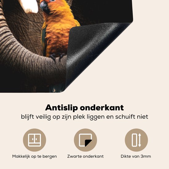 KitchenYeah® Inductie beschermer 78x78 cm - Olifant - Papegaai - Tanden - Kookplaataccessoires - Afdekplaat voor kookplaat - Inductiebeschermer - Inductiemat - Inductieplaat mat
