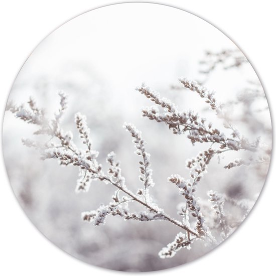 Label2X - Muurcirkel snowy twig - Ø 100 cm - Dibond - Multicolor - Wandcirkel - Rond Schilderij - Muurdecoratie Cirkel - Wandecoratie rond - Decoratie voor woonkamer of slaapkamer