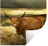 Muurstickers - Sticker Folie - Schotse hooglander - Licht - Natuur - 100x100 cm - Plakfolie - Muurstickers Kinderkamer - Zelfklevend Behang XXL - Zelfklevend behangpapier - Stickerfolie