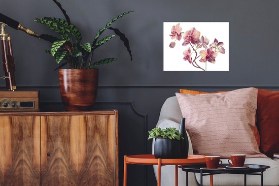 Sticker Muursticker Illustration orchidée rose - illustration d'orchidées roses sur fond blanc - 40x30 cm - film adhésif autocollant - sticker mural repositionnable
