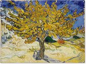 Affiche de jardin Vincent van Gogh 2 - Mûrier - Peinture de Vincent van Gogh affiche de jardin toile en vrac 160x120 cm - Toile de jardin / Toile d'extérieur / Peintures d'extérieur (décoration de jardin) XXL / Groot format!