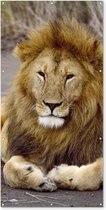 Schuttingposter Leeuw - Afrika - Dier - 100x200 cm - Tuindoek