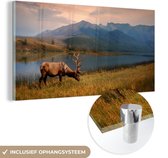 MuchoWow® Glasschilderij 120x60 cm - Schilderij acrylglas - Eland in het Nationaal park Jasper in Noord-Amerika - Foto op glas - Schilderijen