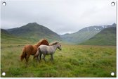 Tuindecoratie Paarden - Gras - Bergen - 60x40 cm - Tuinposter - Tuindoek - Buitenposter