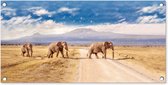 Poster Jardin des trois éléphants 60x40 cm - Photo sur affiche de jardin / Peintures pour l'extérieur (décoration de jardin)