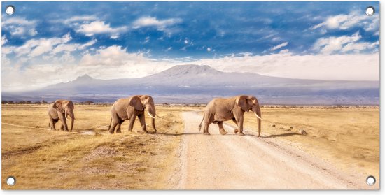 Drie overstekende olifanten Tuinposter 60x40 cm - Foto op Tuinposter (tuin decoratie)