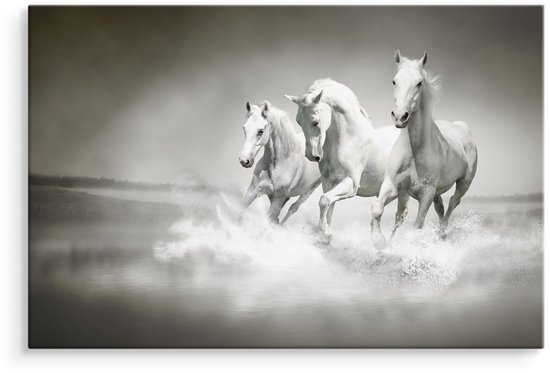 Schilderij - Wilde paarden in zwart-wit, 4 maten, premium print