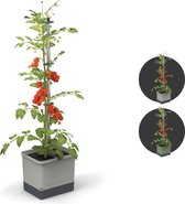 Gusta Garden - Tom Tomato - Tomaten Planten - Tomaten Plantenbak met Watertank - Kweekbak - Kweektafel - Lichgrijs