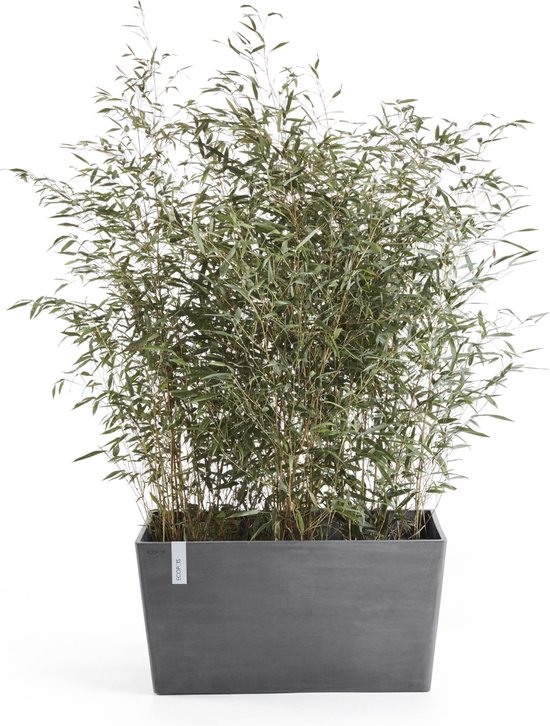 Ecopots Paris 80 - Gris - 80,3 x 38 x H40,5 cm - Pot de fleur / jardinière rectangulaire gris