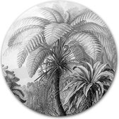 Ronde muursticker Filicinae (Zwart Wit) - WallCatcher | Ernst Haeckel | 120 cm behangsticker wandcirkel