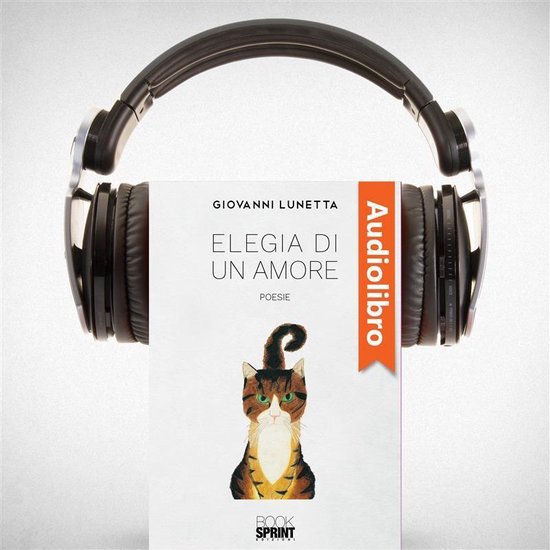 Elegia di un amore - cover